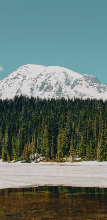 Mount Rainier, USA, mountains Wallpaper 1080x2220