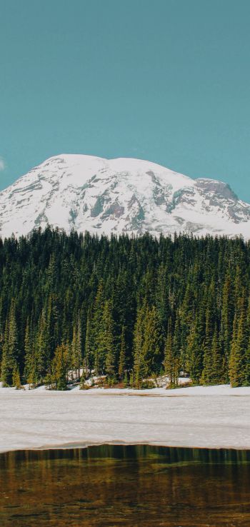 Mount Rainier, USA, mountains Wallpaper 1440x3040