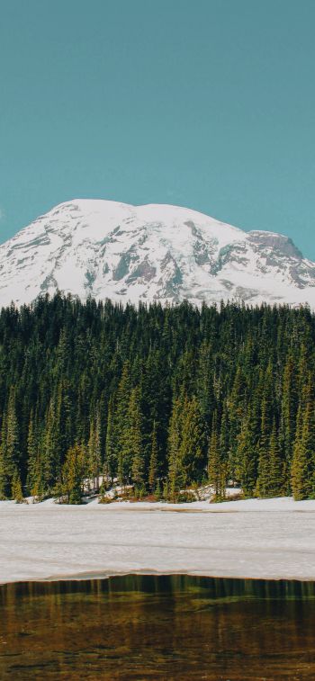 Mount Rainier, USA, mountains Wallpaper 1284x2778