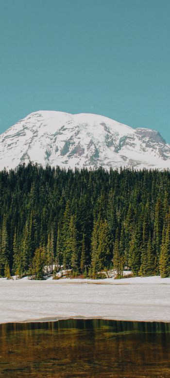 Mount Rainier, USA, mountains Wallpaper 1080x2400