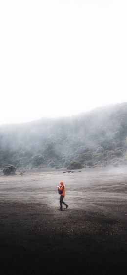 Обои 828x1792 Коста-Рика, туман