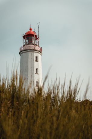 Dornbusch, Hiddenzee Island, Germany Wallpaper 640x960