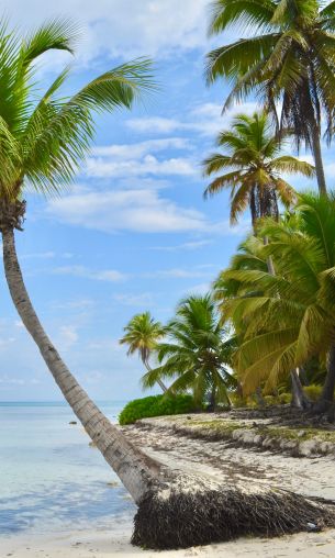 Обои 1200x2000 Остров Саона, Доминиканская Республика, Мальдивы