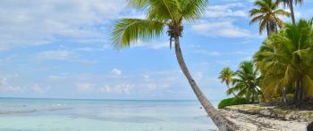 Обои 2560x1080 Остров Саона, Доминиканская Республика, Мальдивы