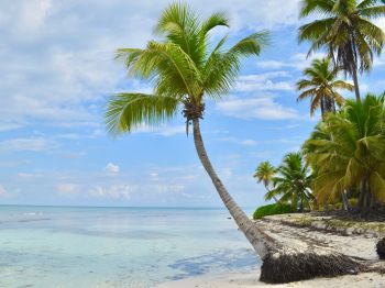 Обои 1024x768 Остров Саона, Доминиканская Республика, Мальдивы