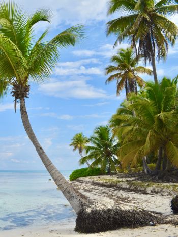 Обои 1668x2224 Остров Саона, Доминиканская Республика, Мальдивы