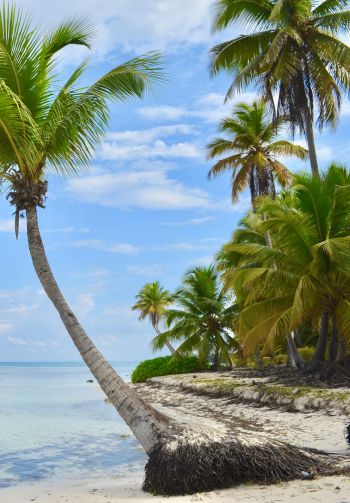 Обои 1640x2360 Остров Саона, Доминиканская Республика, Мальдивы