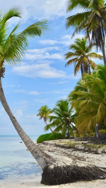 Обои 1440x2560 Остров Саона, Доминиканская Республика, Мальдивы