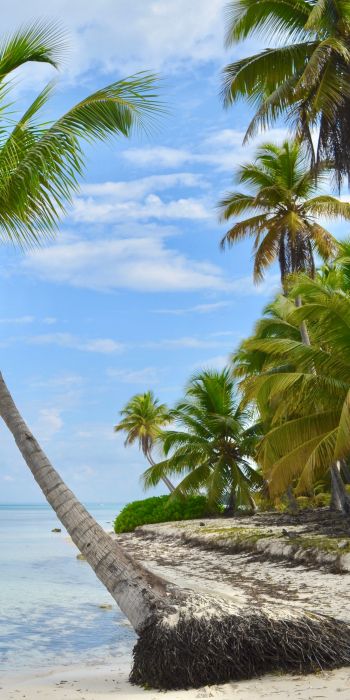 Обои 720x1440 Остров Саона, Доминиканская Республика, Мальдивы
