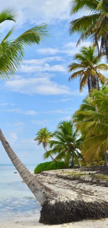 Обои 720x1520 Остров Саона, Доминиканская Республика, Мальдивы