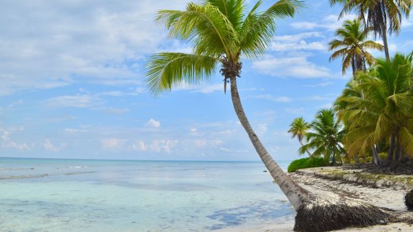 Обои 1600x900 Остров Саона, Доминиканская Республика, Мальдивы