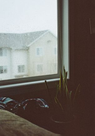 house, window, rain drops Wallpaper 1640x2360