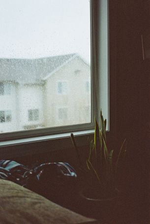 house, window, rain drops Wallpaper 3649x5444