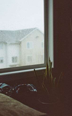 house, window, rain drops Wallpaper 800x1280
