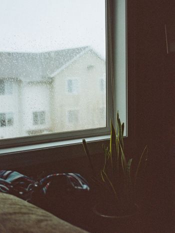house, window, rain drops Wallpaper 1536x2048