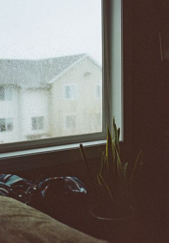 house, window, rain drops Wallpaper 1668x2388