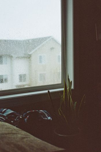 house, window, rain drops Wallpaper 640x960
