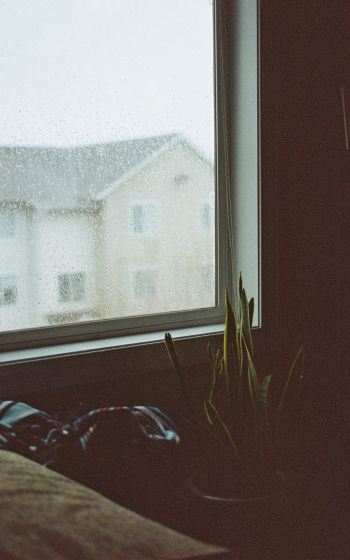 house, window, rain drops Wallpaper 1200x1920