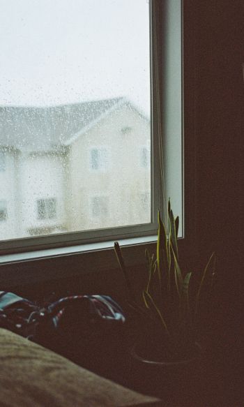 house, window, rain drops Wallpaper 1200x2000