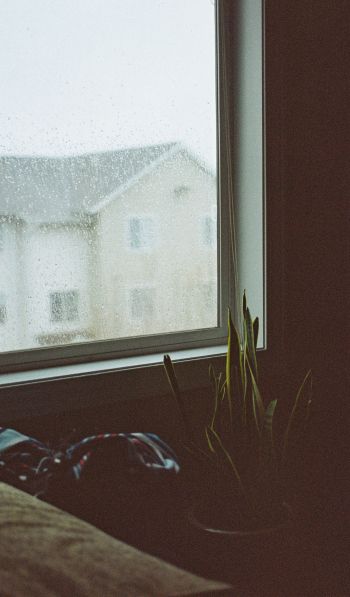 house, window, rain drops Wallpaper 600x1024
