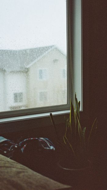 house, window, rain drops Wallpaper 640x1136