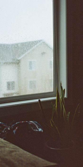 house, window, rain drops Wallpaper 720x1440