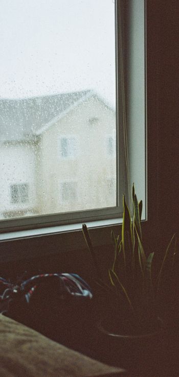 house, window, rain drops Wallpaper 1440x3040