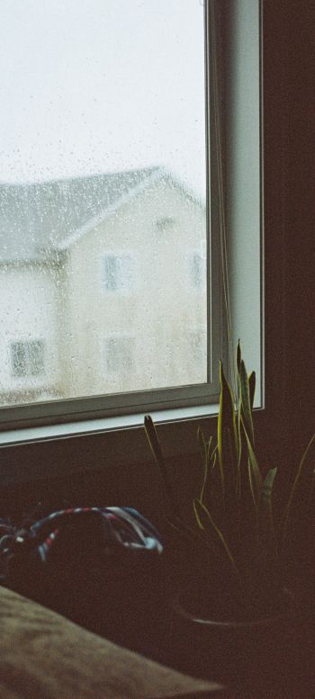 house, window, rain drops Wallpaper 1440x3200