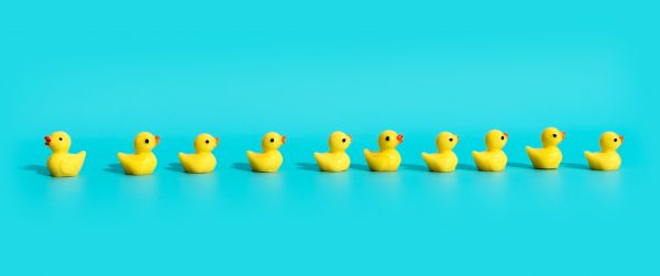 rubber ducks, yellow Wallpaper 3440x1440