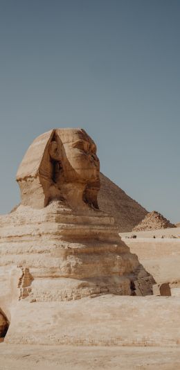 Giza, Egypt, sphinx Wallpaper 1440x2960