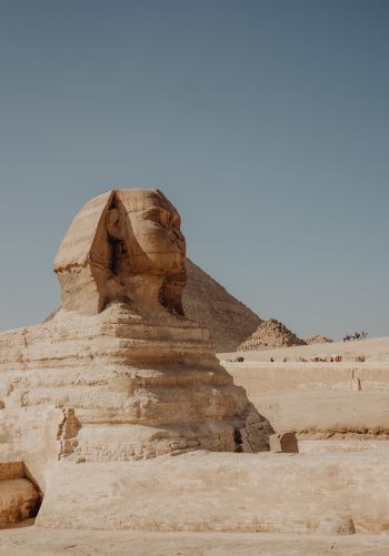 Giza, Egypt, sphinx Wallpaper 1668x2388