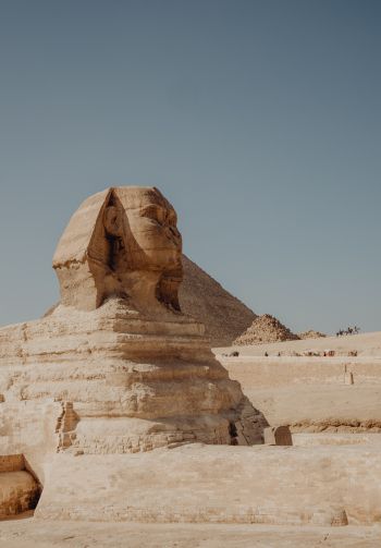 Giza, Egypt, sphinx Wallpaper 1640x2360
