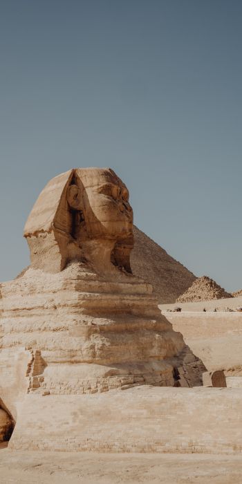 Giza, Egypt, sphinx Wallpaper 720x1440