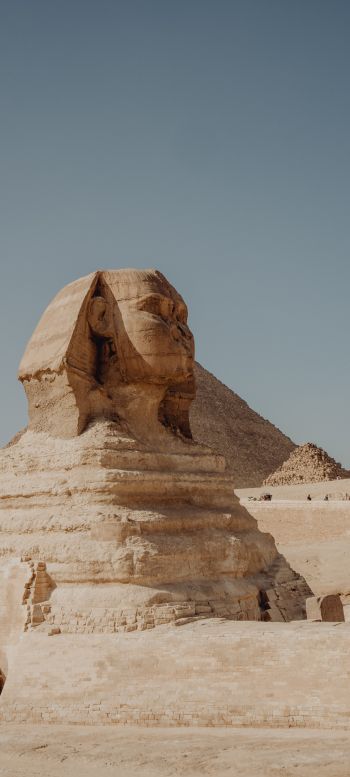 Giza, Egypt, sphinx Wallpaper 1440x3200