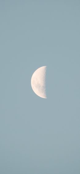 moon, blue sky Wallpaper 1242x2688