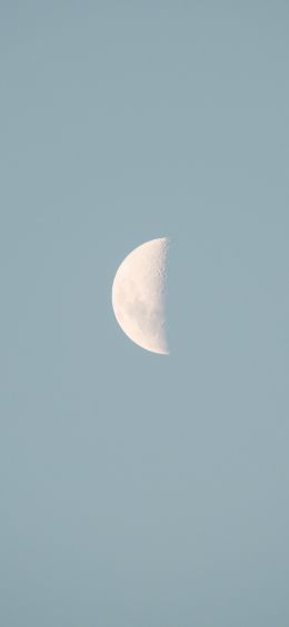 moon, blue sky Wallpaper 1080x2340