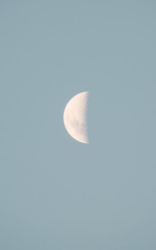 moon, blue sky Wallpaper 1752x2800