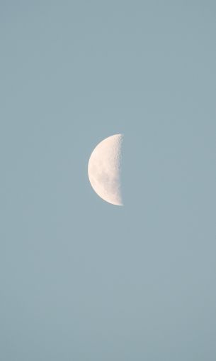 moon, blue sky Wallpaper 1200x2000