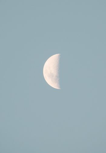 moon, blue sky Wallpaper 1668x2388