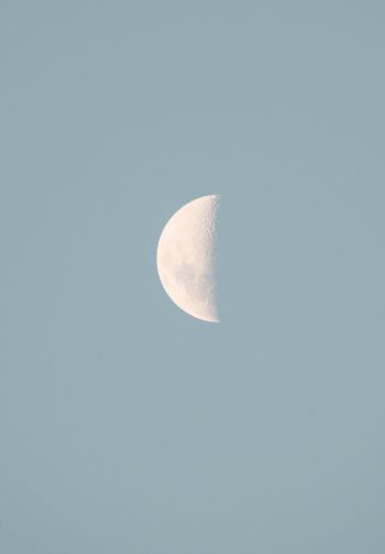 moon, blue sky Wallpaper 1640x2360