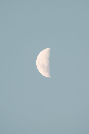 moon, blue sky Wallpaper 640x960