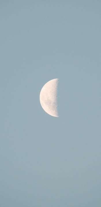 Обои 1080x2220 луна, голубой небо