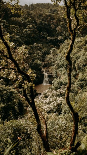 waterfall, forest Wallpaper 1080x1920