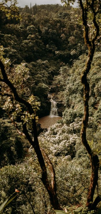 waterfall, forest Wallpaper 1080x2280
