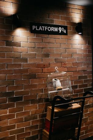 Harry Potter, station Wallpaper 3744x5616