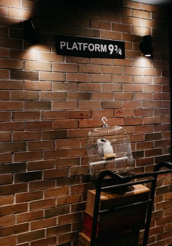 Harry Potter, station Wallpaper 1668x2388