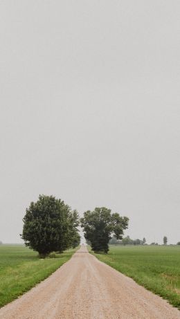 road, trees Wallpaper 640x1136