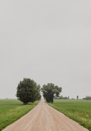 road, trees Wallpaper 1640x2360