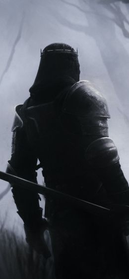 warrior, forest, sword Wallpaper 828x1792