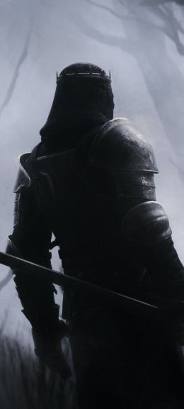 warrior, forest, sword Wallpaper 720x1600